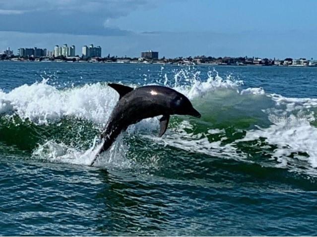 Image No.49-1 Bed Property for sale