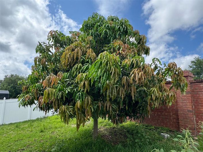 Image No.4-3 Bed Property for sale