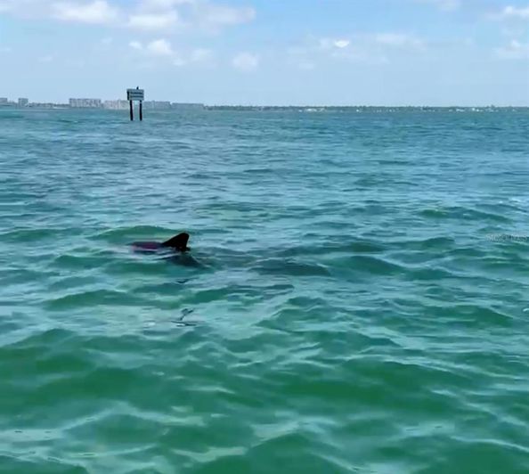 Image No.35-2 Bed Property for sale