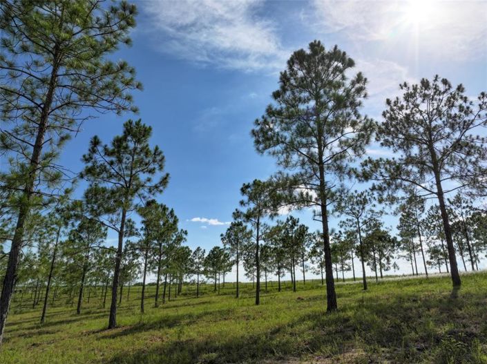 Image No.4-3 Bed Property for sale