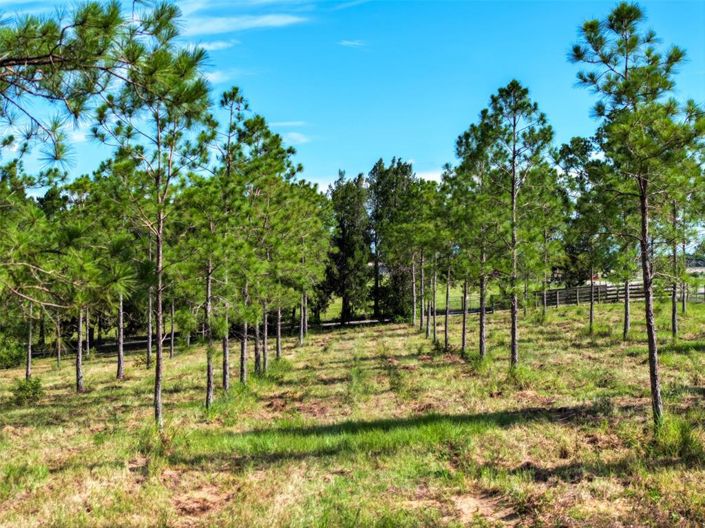 Image No.51-3 Bed Property for sale