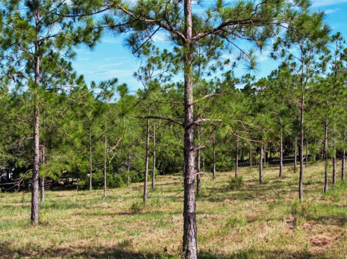 Image No.55-3 Bed Property for sale