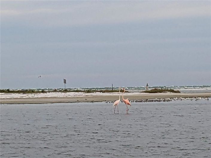 Image No.31-2 Bed Property for sale