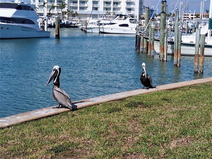 Image No.32-2 Bed Property for sale