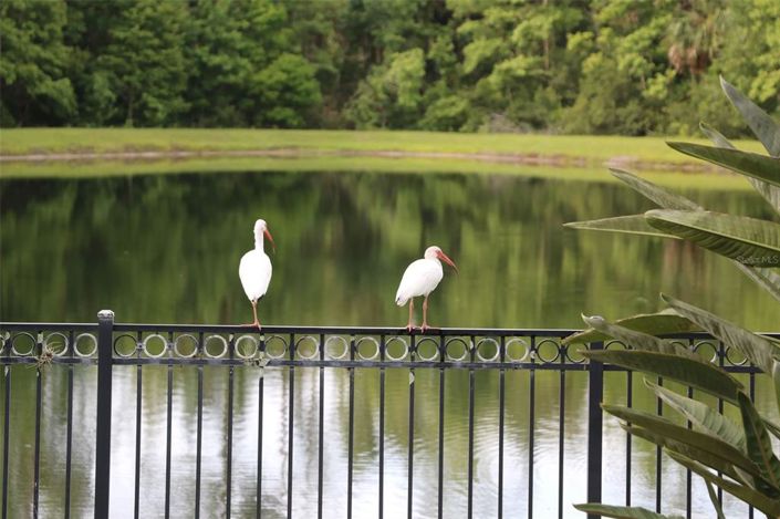 Image No.32-6 Bed Property for sale