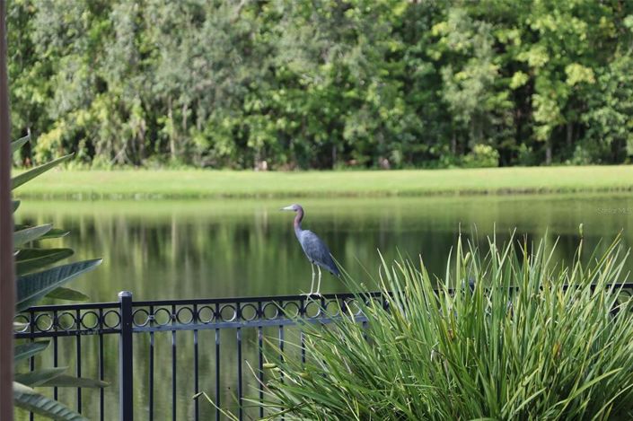 Image No.34-6 Bed Property for sale