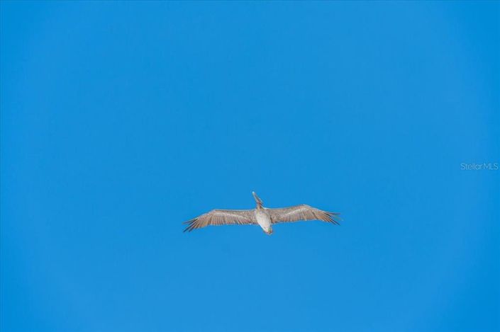 Image No.32-3 Bed Property for sale