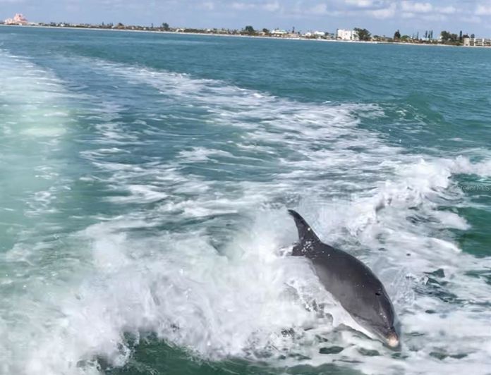 Image No.38-3 Bed Townhouse for sale