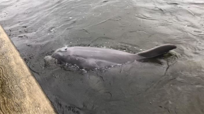 Image No.40-3 Bed Townhouse for sale