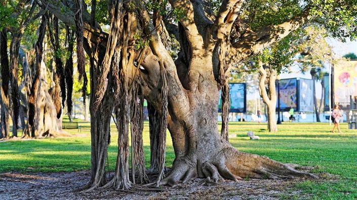 Image No.56-3 Bed Property for sale