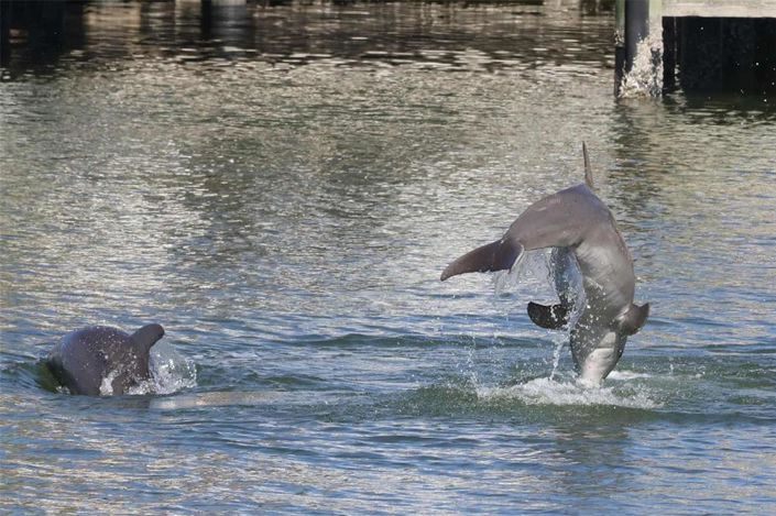 Image No.57-3 Bed Townhouse for sale