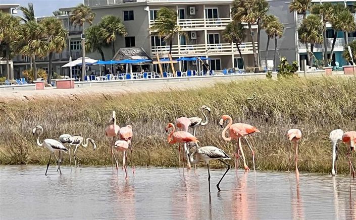 Image No.58-3 Bed Townhouse for sale