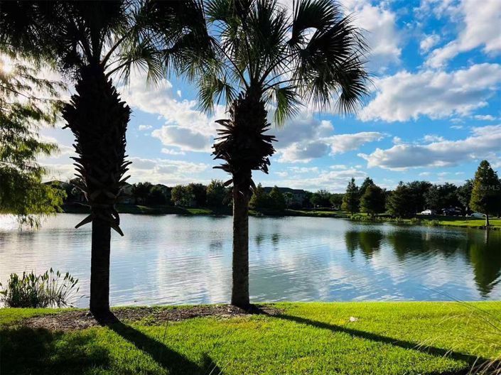 Image No.3-8 Bed Property for sale