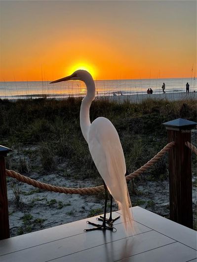 Image No.35-3 Bed Property for sale