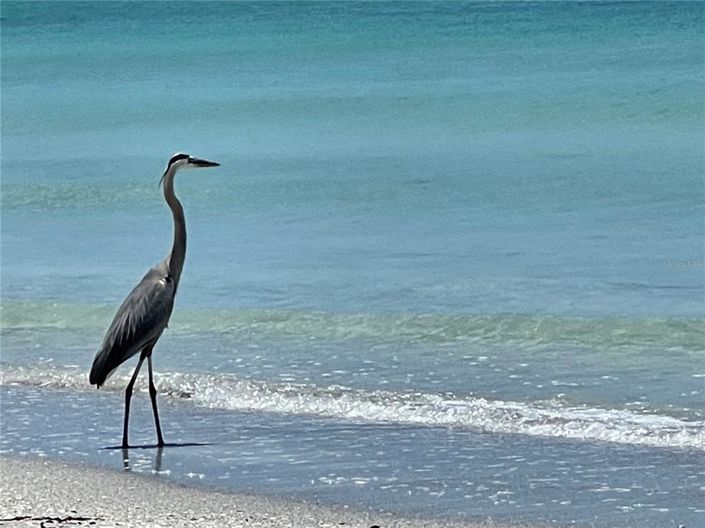 Image No.36-3 Bed Property for sale