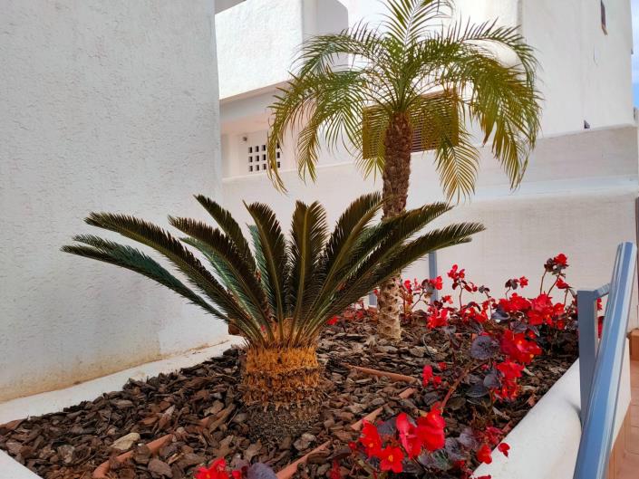 Image No.22-2 Bed Apartment for sale