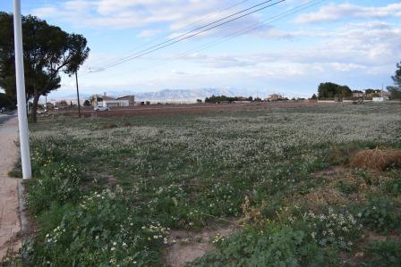 Image No.4-Plot for sale