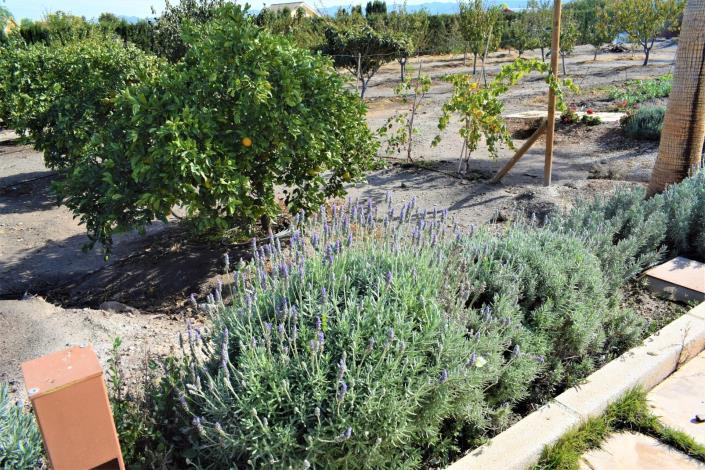 Image No.9-5 Bed Villa for sale