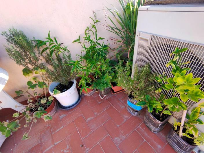 Image No.20-4 Bed House for sale