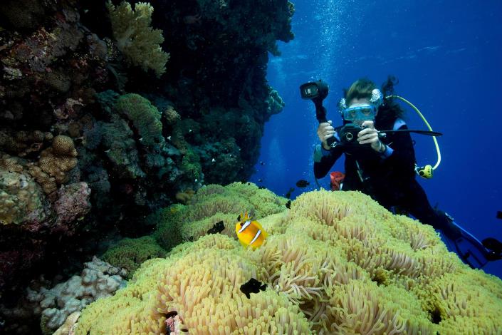 Image No.5-3 Bed Chalet for sale