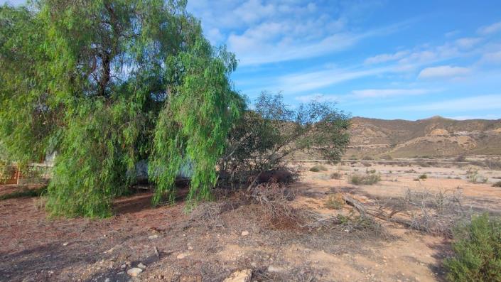 Image No.9-5 Bed House for sale