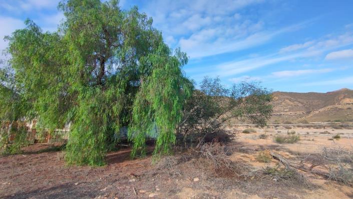 Image No.12-5 Bed House for sale