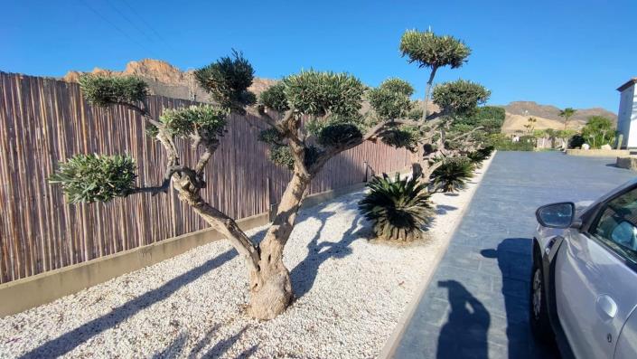 Image No.51-3 Bed Villa / Detached for sale