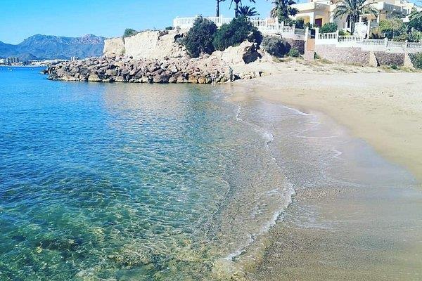 Image No.21-3 Bed Duplex for sale