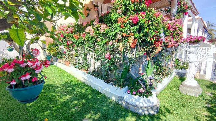 Image No.13-3 Bed Duplex for sale