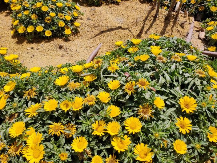 Image No.23-1 Bed Apartment for sale