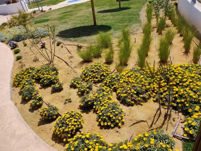 Image No.24-1 Bed Apartment for sale