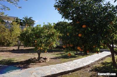 Image No.14-5 Bed Villa / Detached for sale