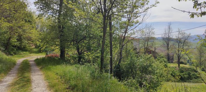 Image No.31-3 Bed Penthouse for sale