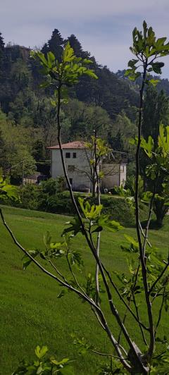 Image No.2-3 Bed Penthouse for sale