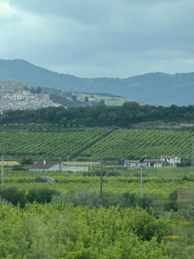 Image No.31-4 Bed Masseria for sale