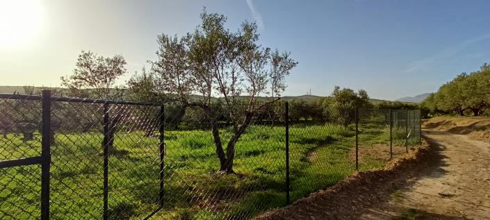 Image No.4-Plot for sale