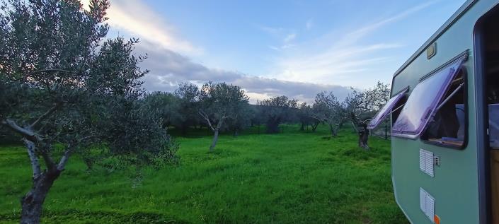 Image No.8-Plot for sale