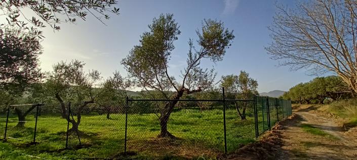 Image No.7-Plot for sale