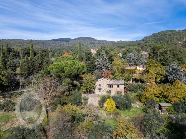 Image No.1-3 Bed Country House for sale