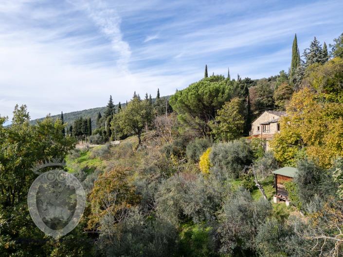 Image No.6-3 Bed Country House for sale