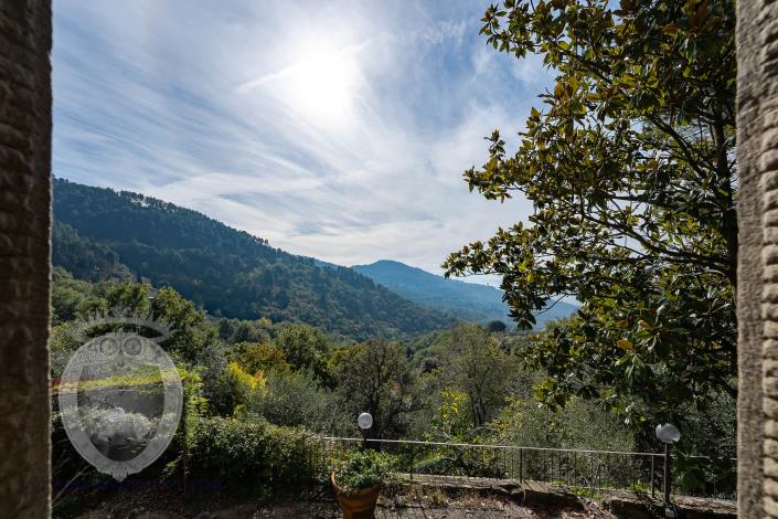 Image No.19-3 Bed Country House for sale