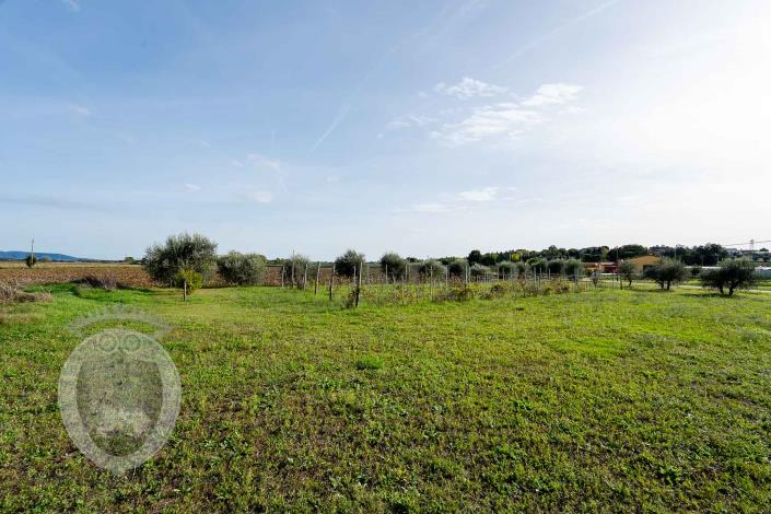 Image No.6-7 Bed Farmhouse for sale