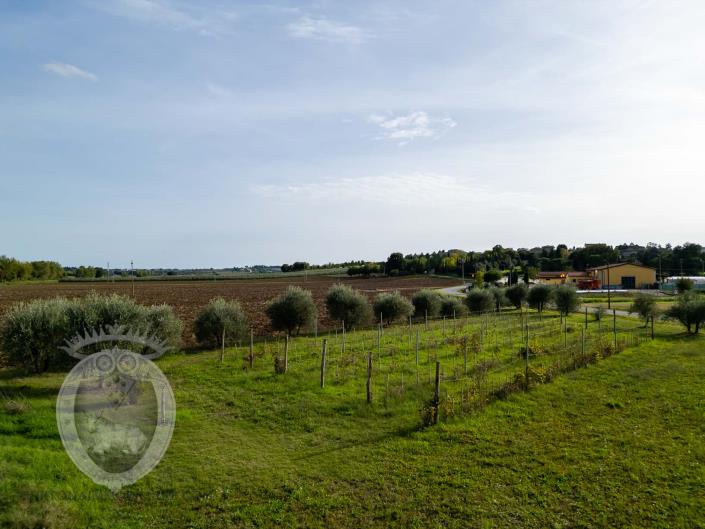 Image No.52-7 Bed Farmhouse for sale