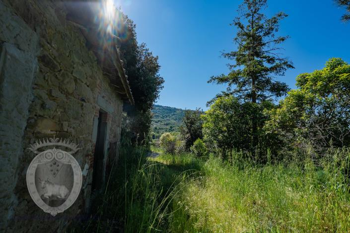 Image No.7-8 Bed Farmhouse for sale