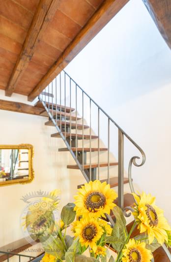 Image No.24-3 Bed Townhouse for sale