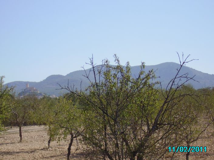 Image No.11-Land for sale