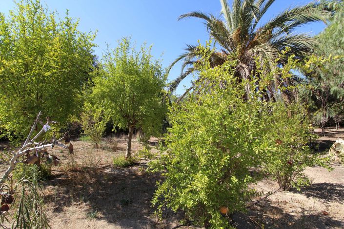 Image No.29-2 Bed Villa for sale