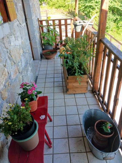 Image No.9-3 Bed Villa / Detached for sale