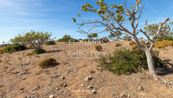 Image No.17-Land for sale