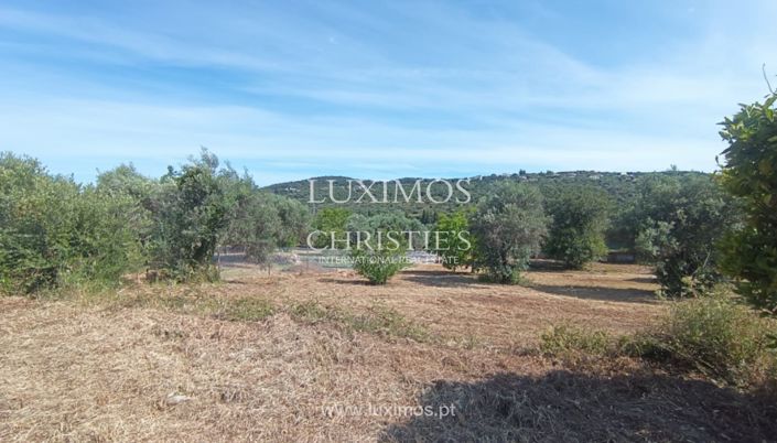 Image No.16-3 Bed Villa for sale